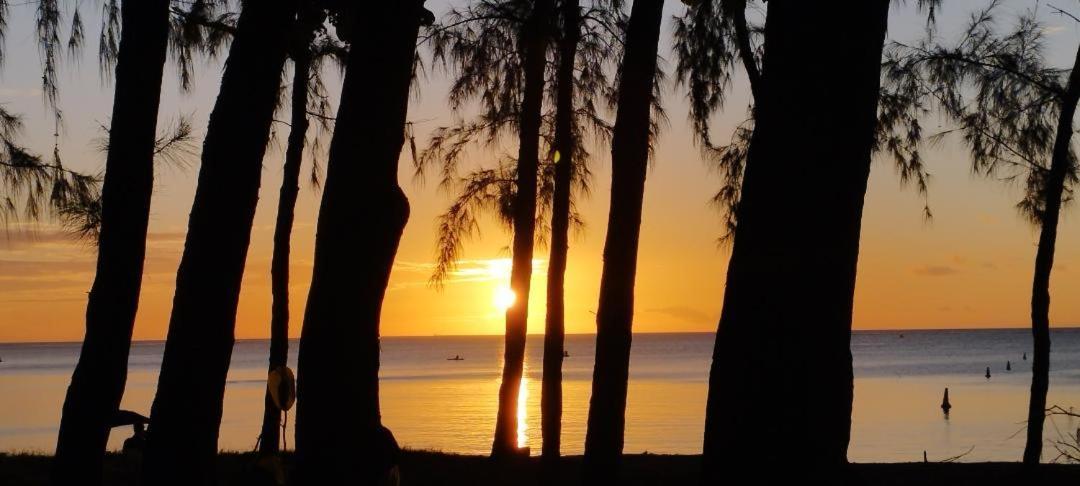 Appartement Le Dauphin Du Lagon Bleu - Plages De Mont Choisy Et De Trou Aux Biches グランベ エクステリア 写真