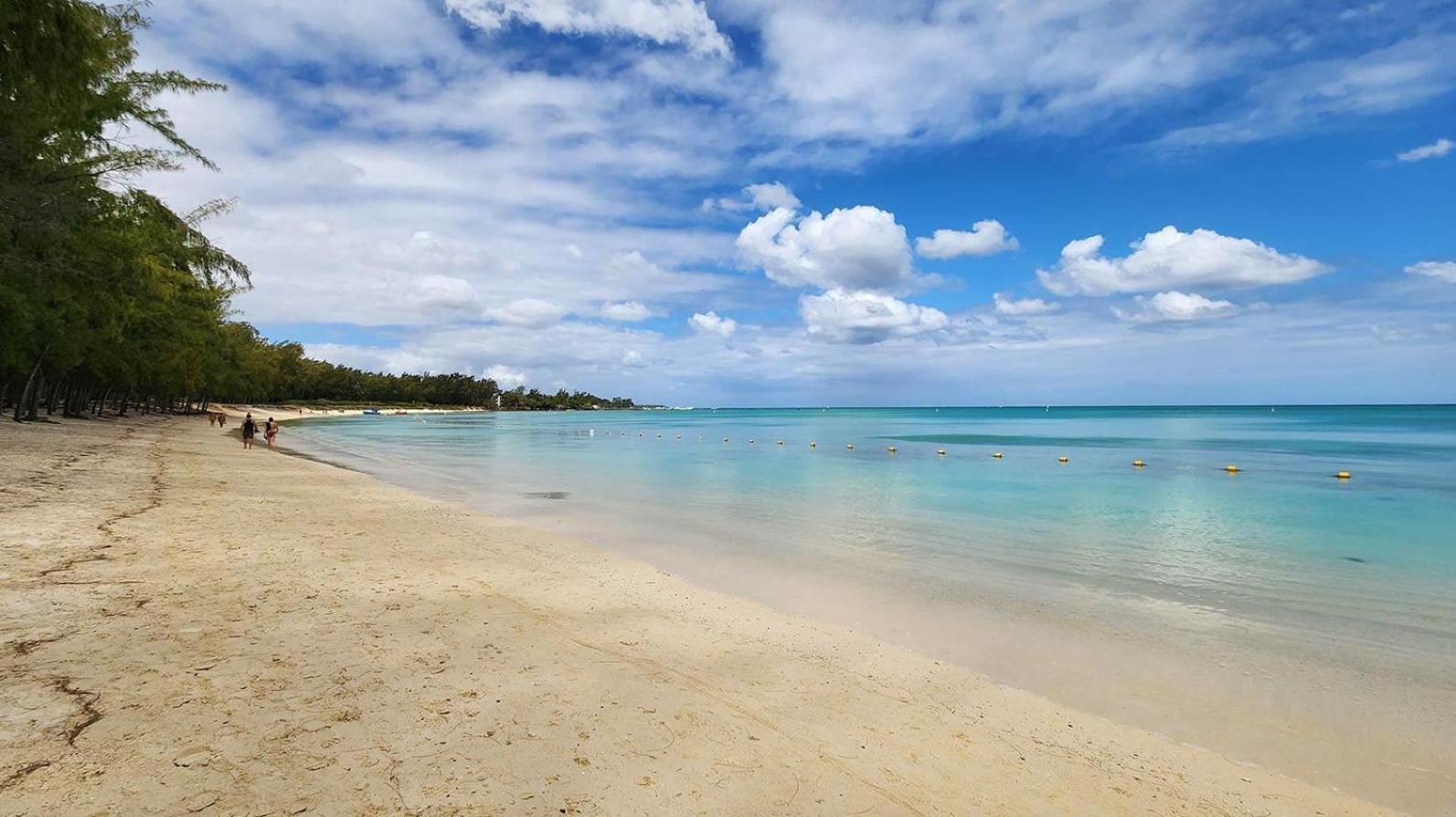 Appartement Le Dauphin Du Lagon Bleu - Plages De Mont Choisy Et De Trou Aux Biches グランベ エクステリア 写真